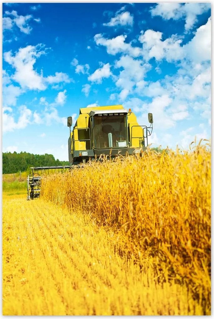 Poszterek 80x120 Kombájn gabonanyíró