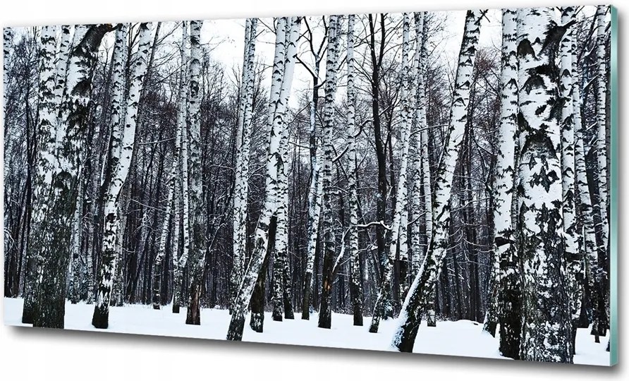 Fotó üvegkép Tengerparti dűnék 100x70