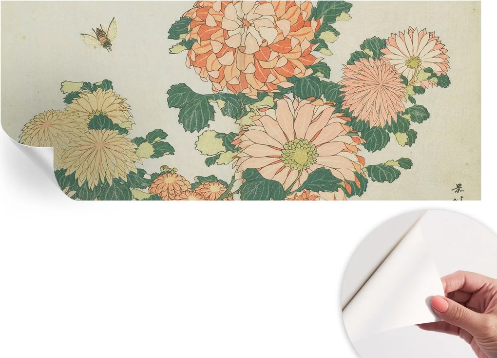 Öntapadós Dekoratív Fotótapéta Hálószobába Krizantém Virágok 250x104