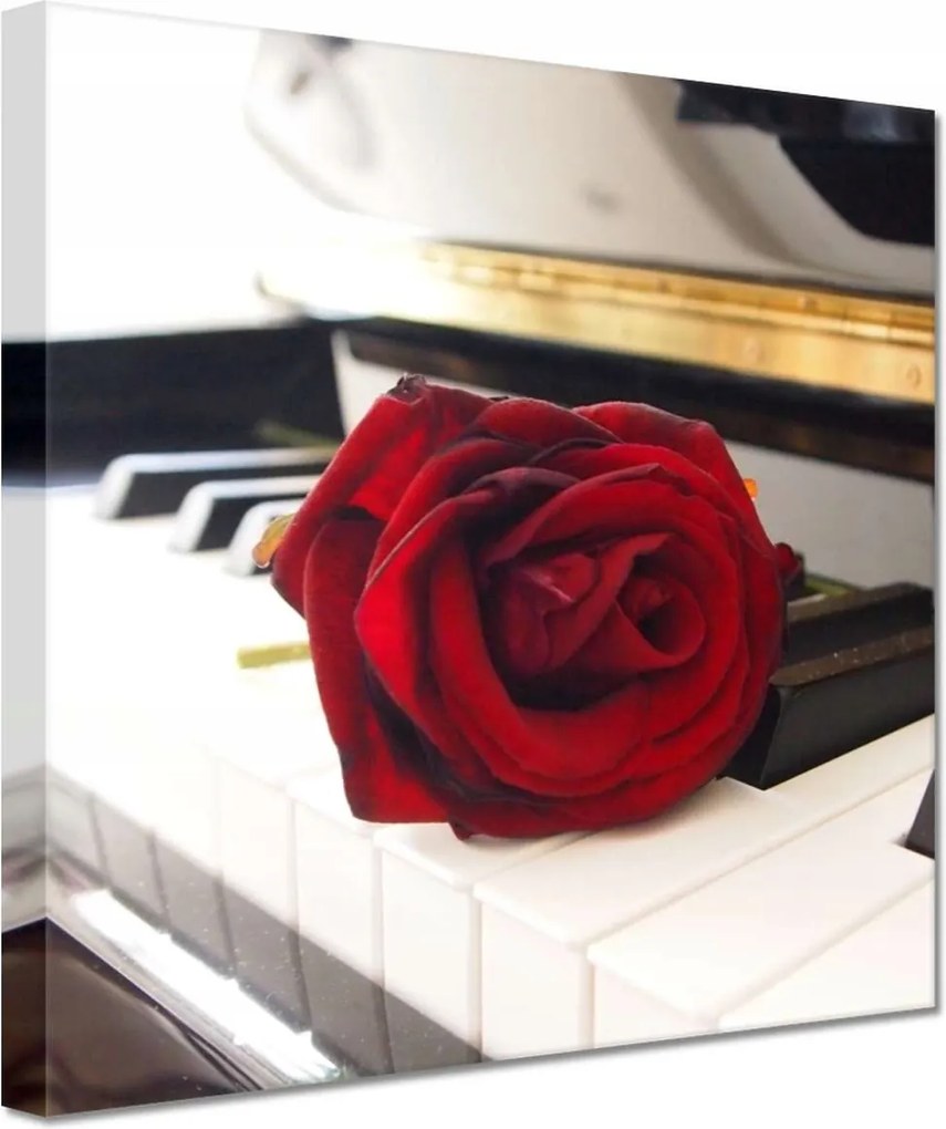 Vászonkép 20x20 Különböző a zongorán