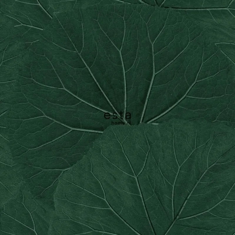 Trópusi Tapéta Sötétzöld Mintás Nagy Levelek
