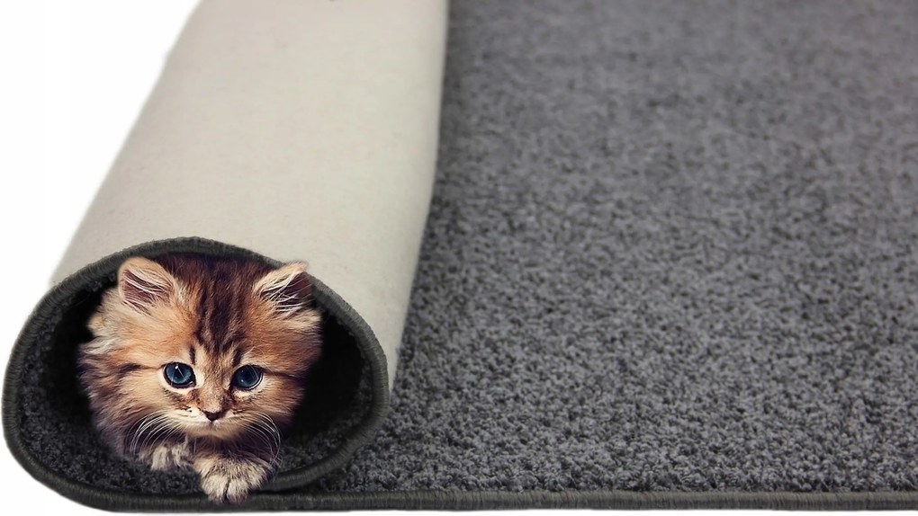 Shaggy szőnyeg Puha Vastag Grafit Tampa 200x250