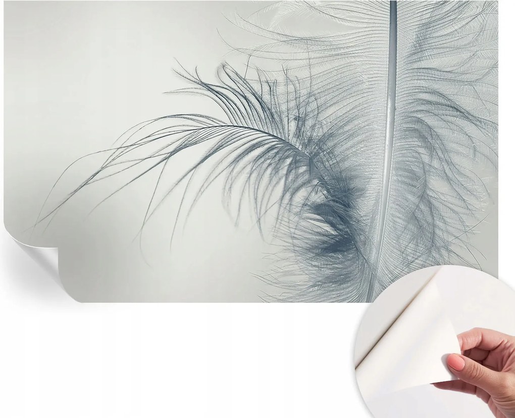 Modern öntapadós fotótapéta falra Finom toll 416x254 cm