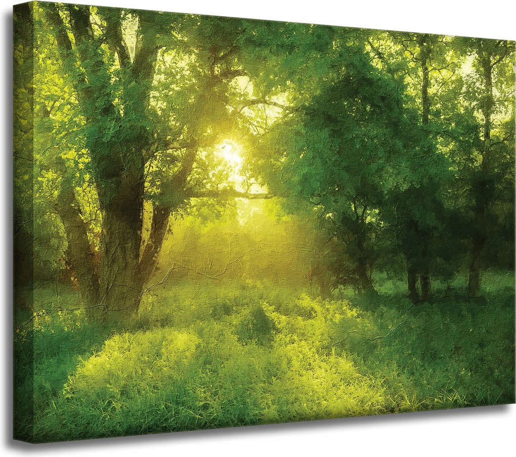 Vászonkép Pasztell Stílus Napfa 40x30 cm Ideális ajándék