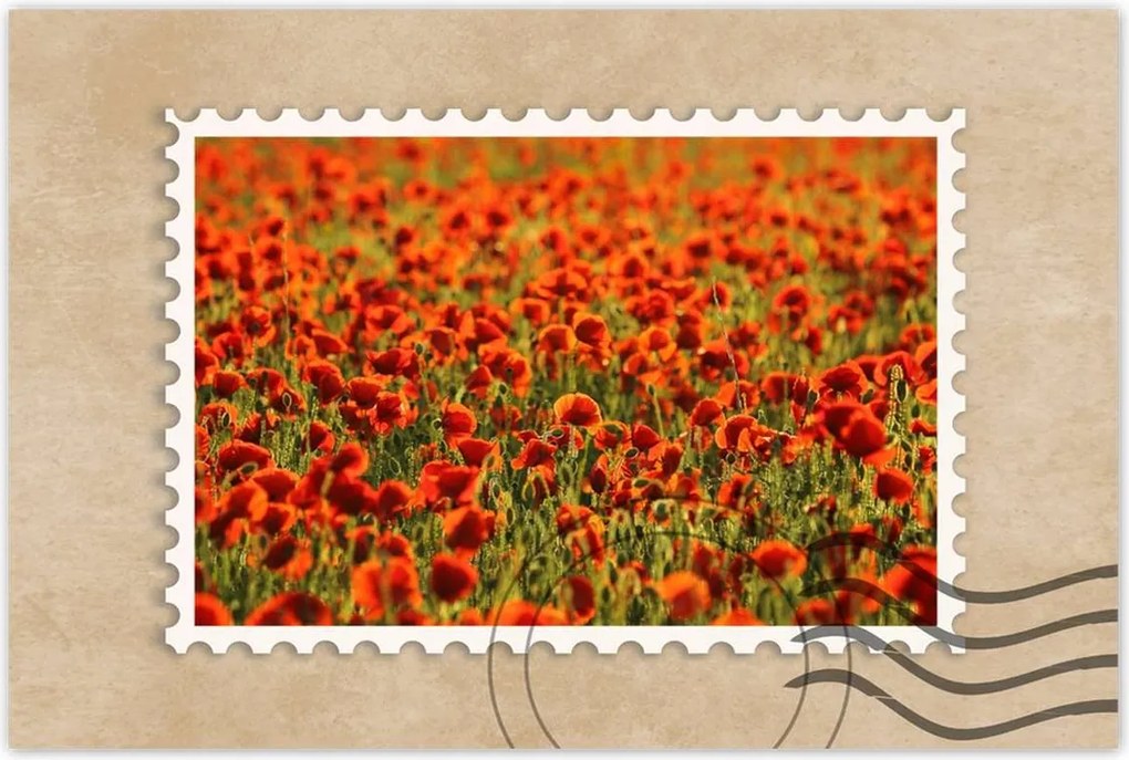 Plakátok 90x60 Mákkal teli rét