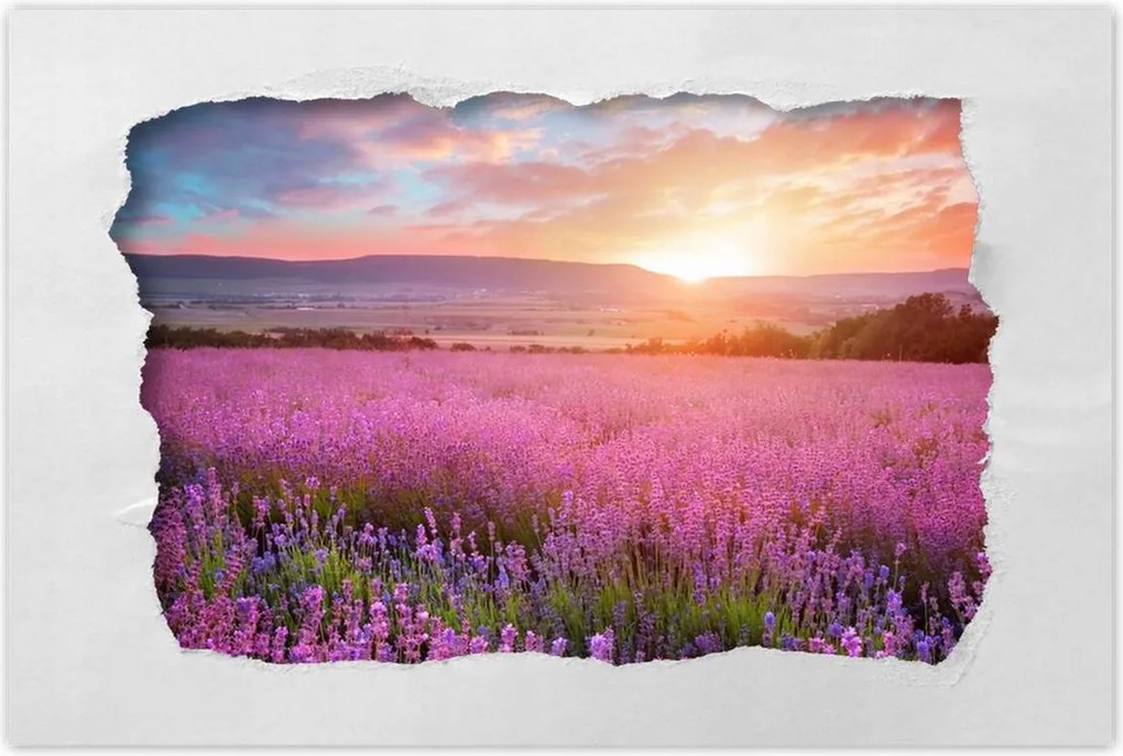 Poszterek 90x60 Nyugaton változatlan