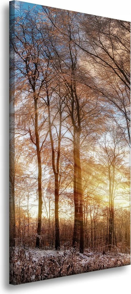 Vászonkép Fák Tél Felkelő Nap 40x80 cm