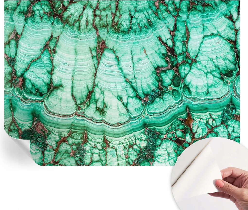 Öntapadós fotótapéta Nappaliba és Hálószobába Zöld minták 208x146