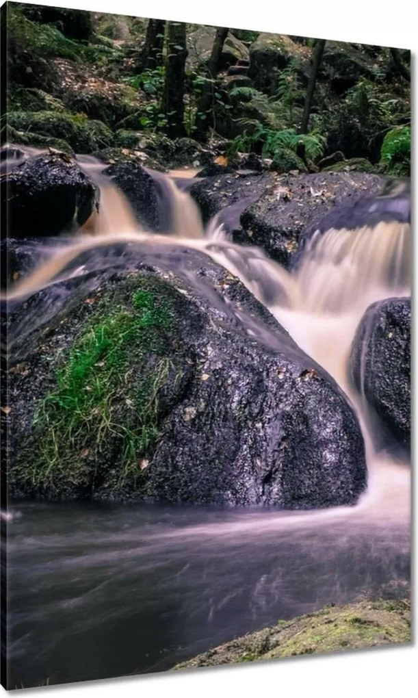 Vászonkép 70x100 Folyó víz a patakban