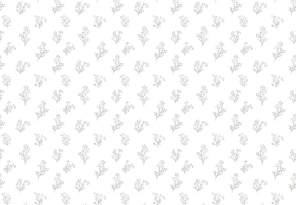 Fotótapéta - Ágacskák (147x102 cm)