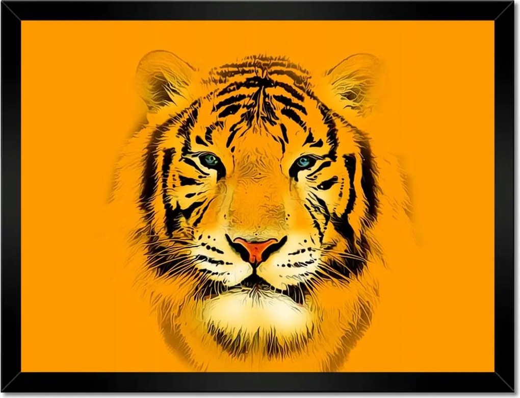Poszter keretben 40x30 Narancssárga tigris