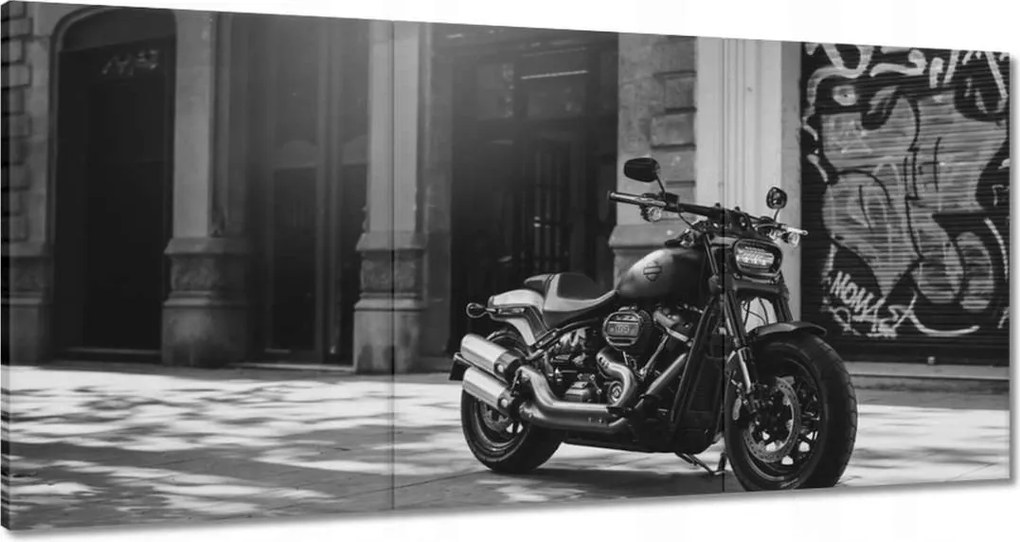 Vászonkép 60x30 Harley Davidson Motorkerékpár