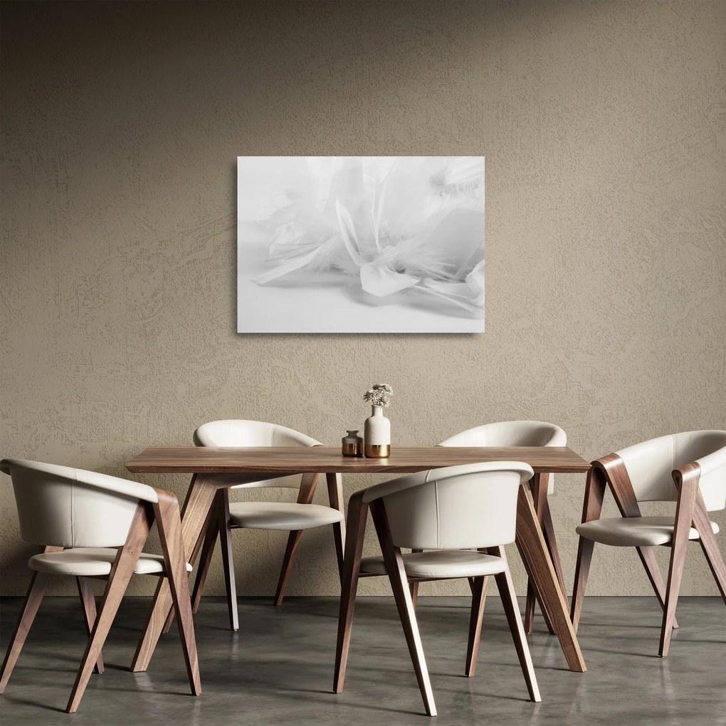 Üveg kép - Tollak (70x50 cm)