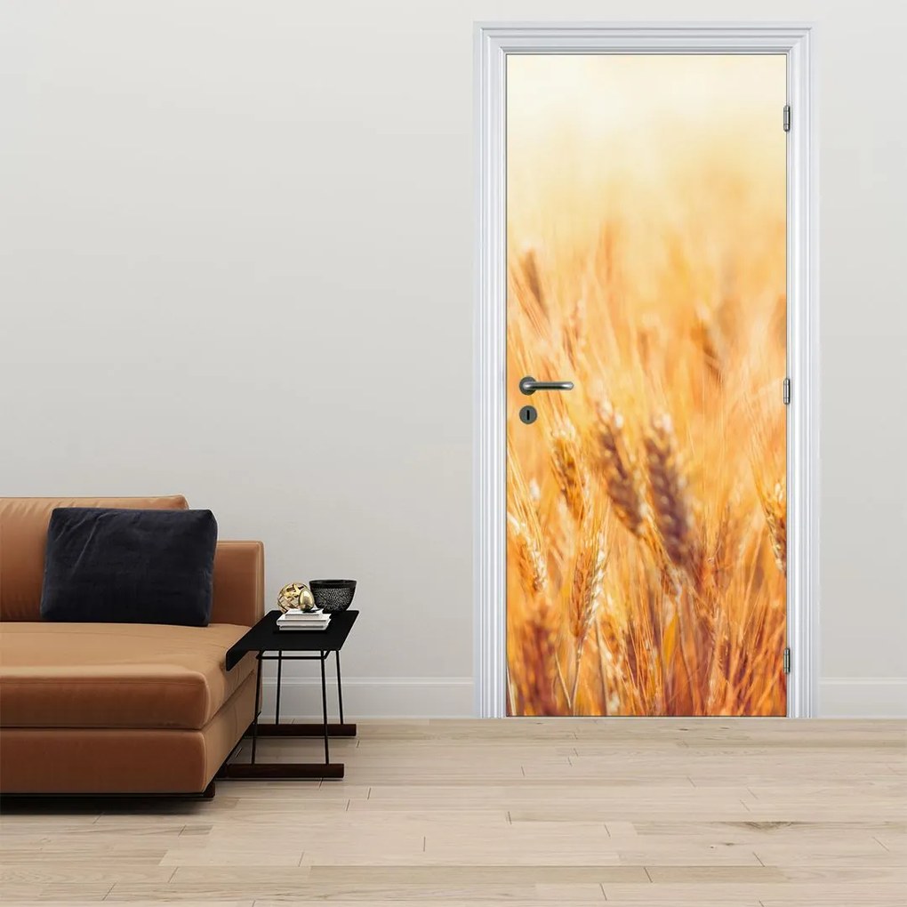 Fotótapéta ajtóra - Mező gabonával (95x205cm)