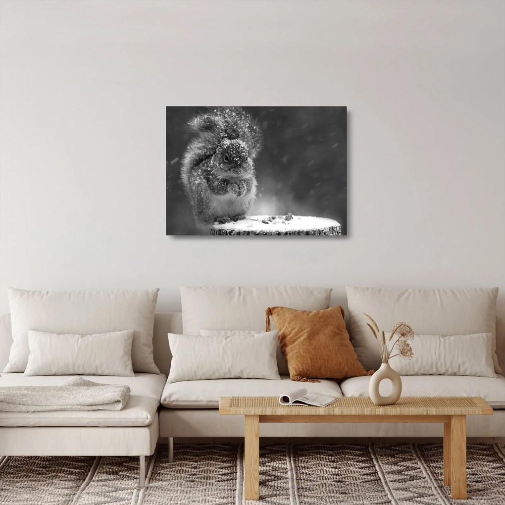 Üveg kép - Mókus télen (70x50 cm)