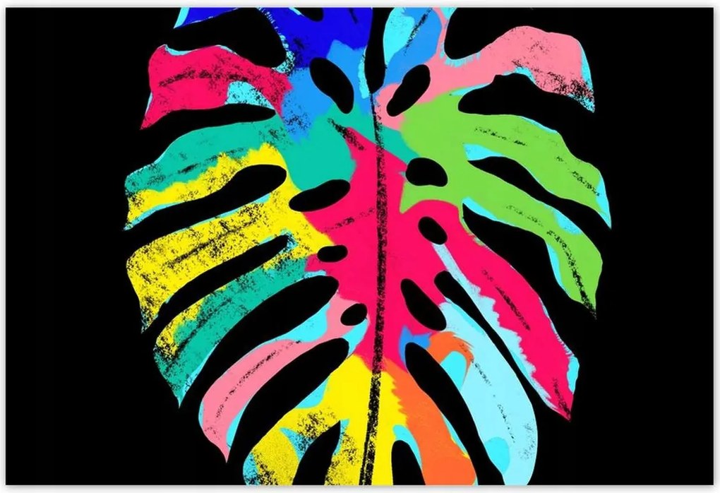 Poszterek 200x135 Színes Monstera levél