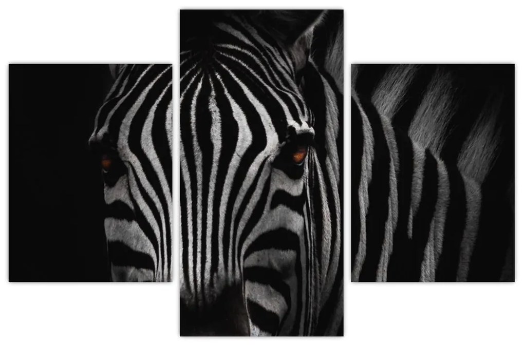 Zebra képe (90x60 cm)