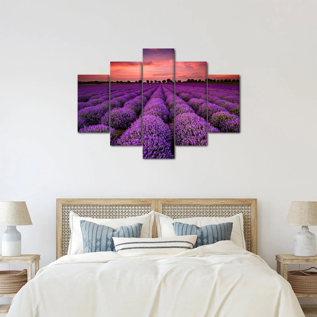 Kép - Levendula mező (150x105 cm)