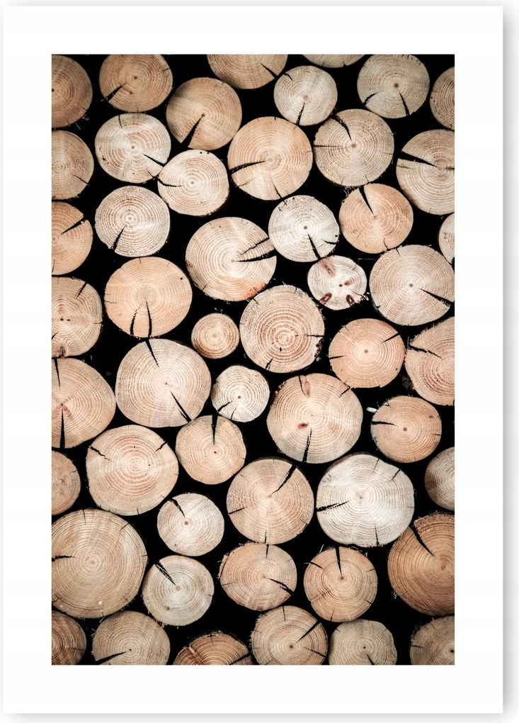 Boho Fa Természet Poszter A1 59,4x84,1 cm #20K