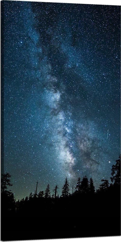 Vászonkép Kozmosz Éjszaka Erdő Köd Természet Csillagászat 60x120