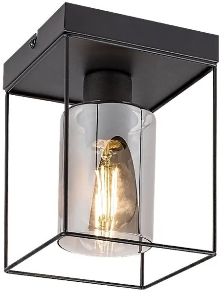 Rabalux 71031 - Mennyezeti lámpa CHADWICK 1xE27/25W/230V