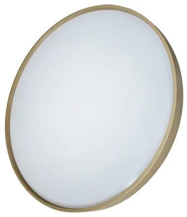 LED Dimmelhető mennyezeti lámpa DRINA LED/36W/230V 2700-6500K  + távirányító