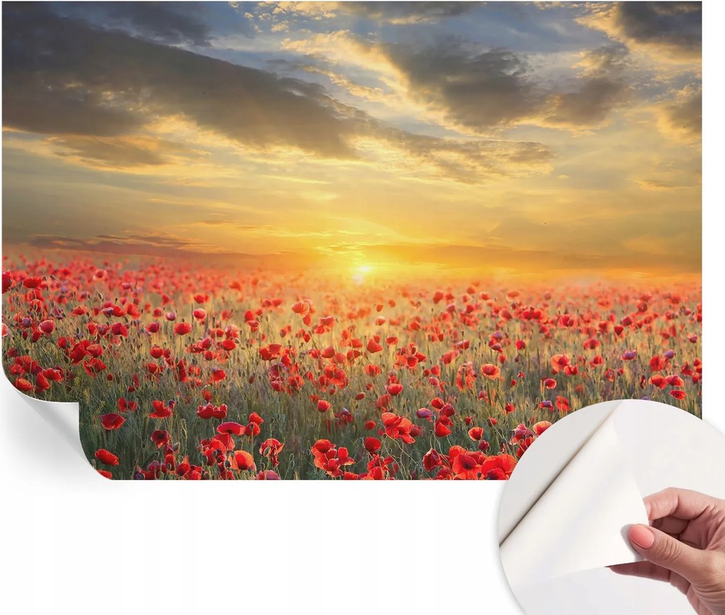 Dekoratív öntapadós fotótapéta Hálószobába pipacs mező 152x104 cm