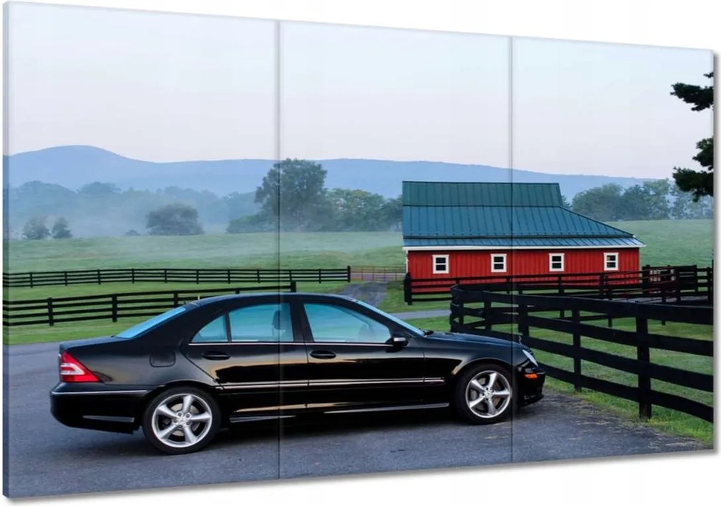 Festmények 120x80 Mercedes