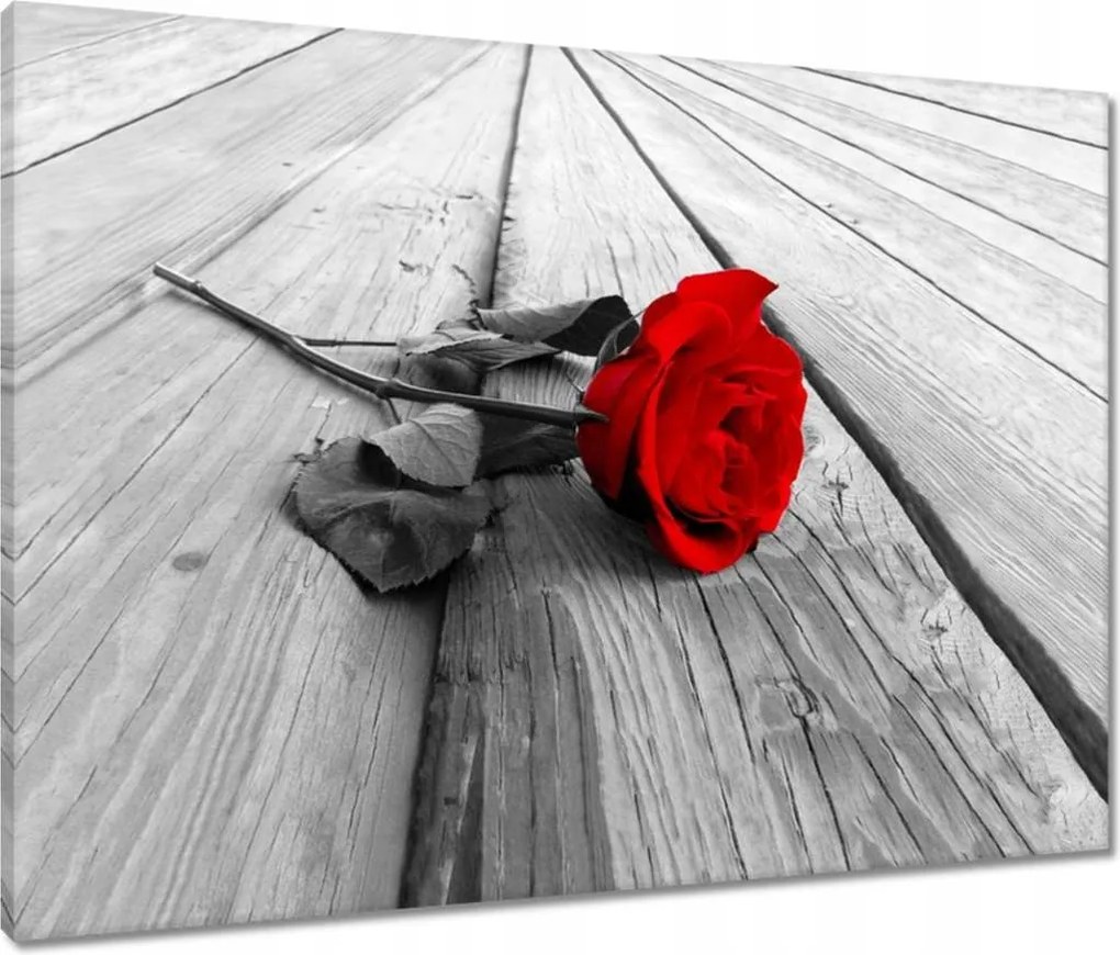 Vászonkép 80x60 Vörös rózsa a hídon
