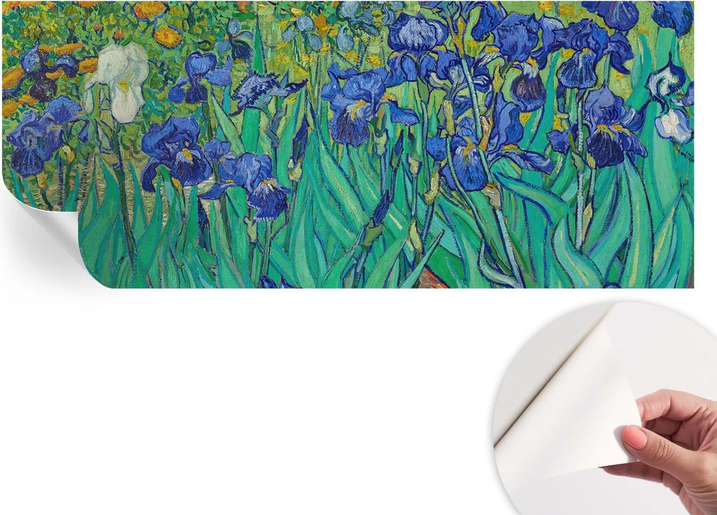 Mosható öntapadós fotótapéta étkezőbe Kerti virágok 250x104 cm