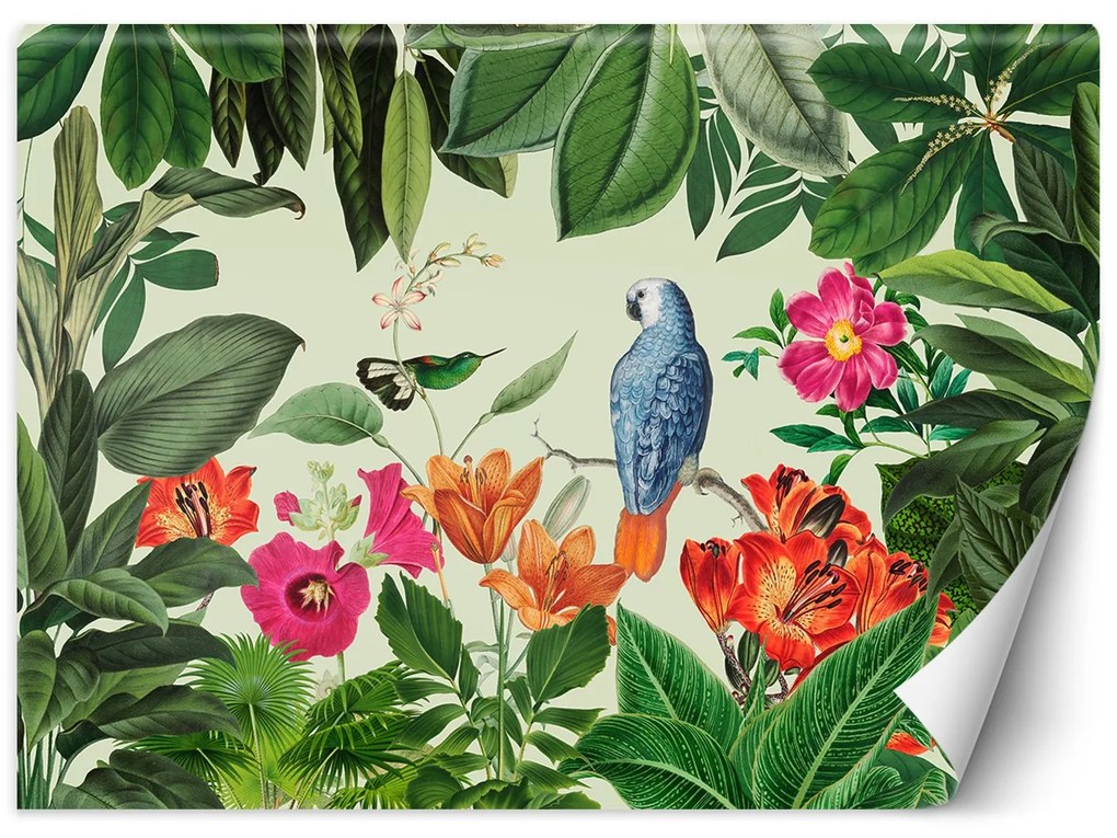 Gario Fotótapéta A vad kert titka - Andrea Haase Anyag: Vlies, Méret: 350 x 245 cm