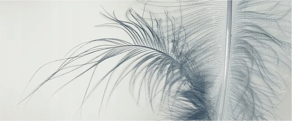 Divatos Flizelin tapéta 3D ragasztóval Fali finom toll 250x104 Ragasztó