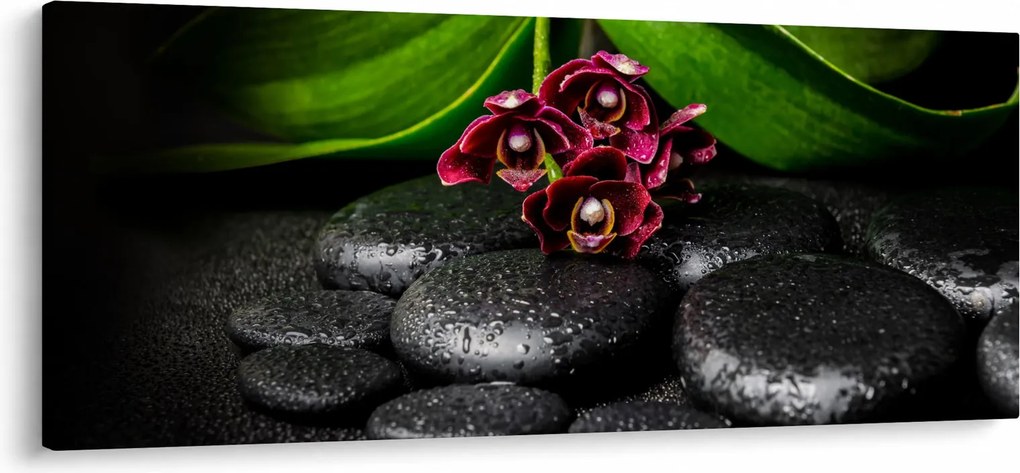 Kép - Lávakövek (120x50 cm)