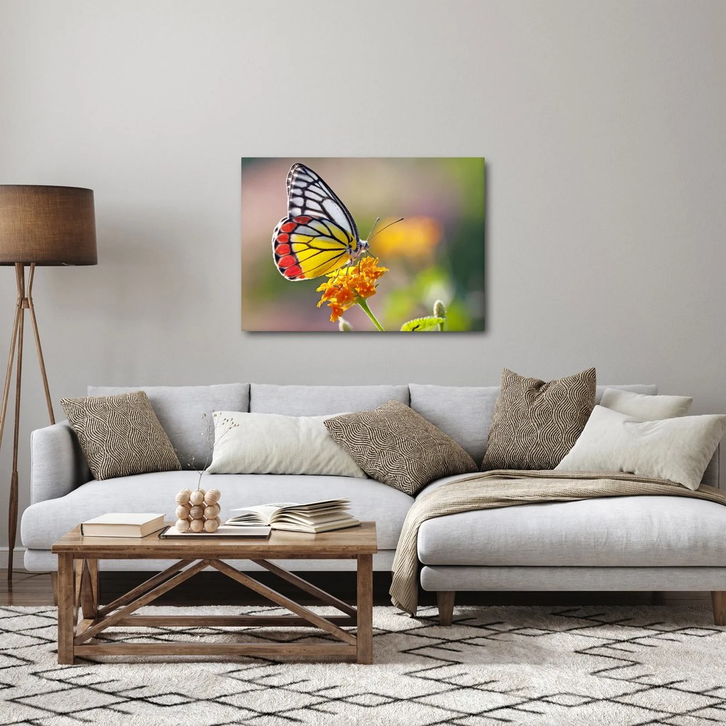 Egy pillangó képe a virágon (70x50 cm)