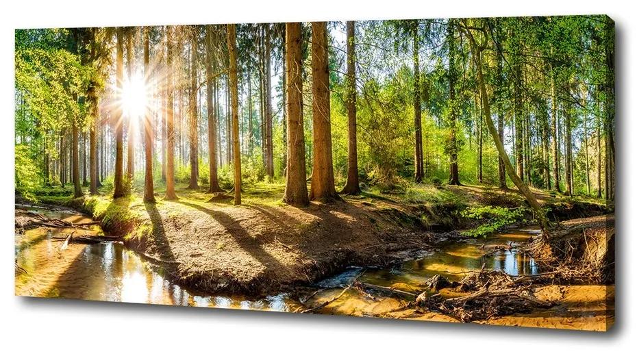Feszített vászonkép Panorama erdő pl-oc-125x50-f-145813283