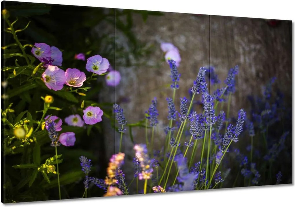 Festmények 120x80 Levendula