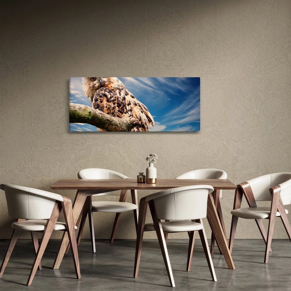 Bagoly képe (120x50 cm)