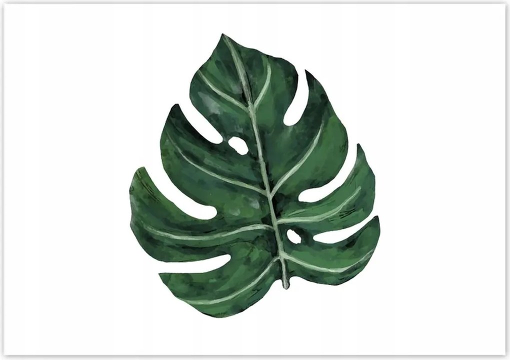Poszterek 100x70 Monstera Zöld levél