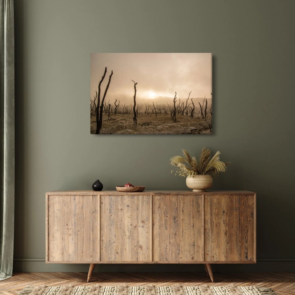 Kép - Csupasz fák (90x60 cm)