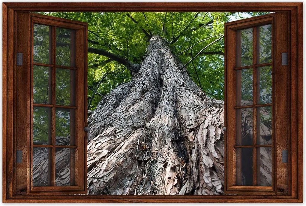 Poszterek 120x80 Fa Fák Kilátás