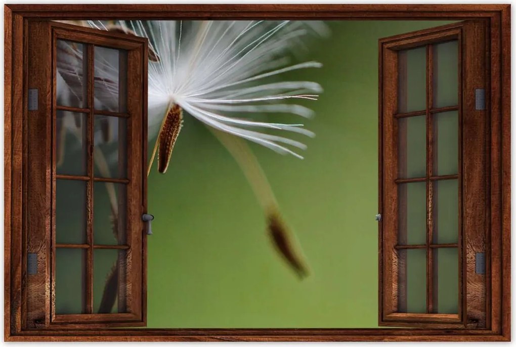 Poszterek 60x40 Pitypang Virág Virágok