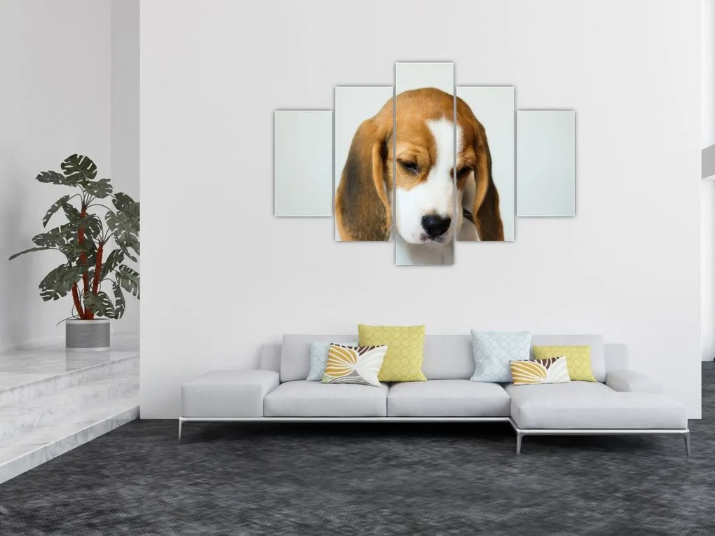 Beagle képe (150x105 cm)