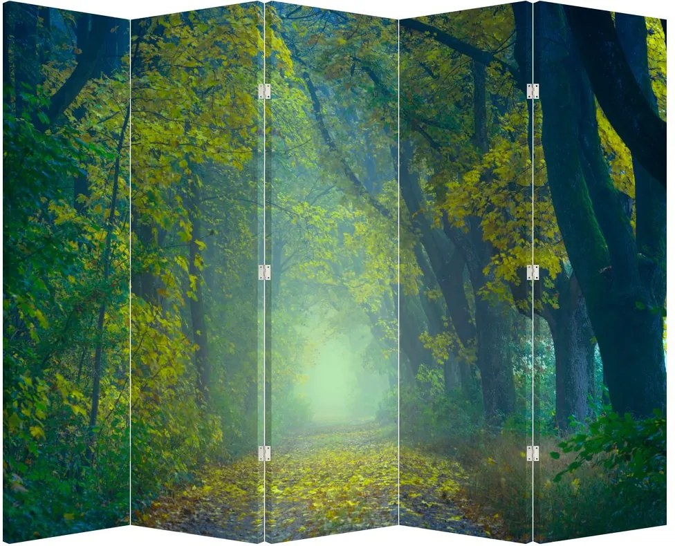 Paraván - Fákkal szegélyezett út (210x170 cm)