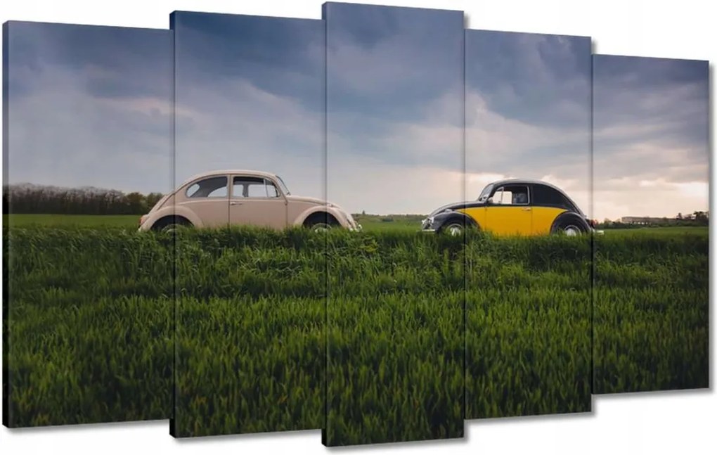 Képek 100x60 Volkswagen Bogár