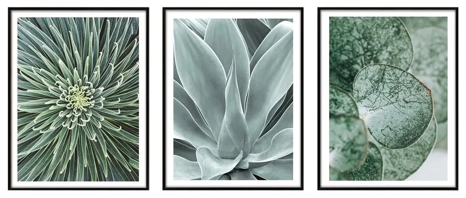Kép szett 3 db-os 30x40 cm – knor