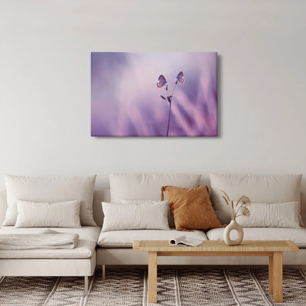 Kép - Lila pillangók (90x60 cm)
