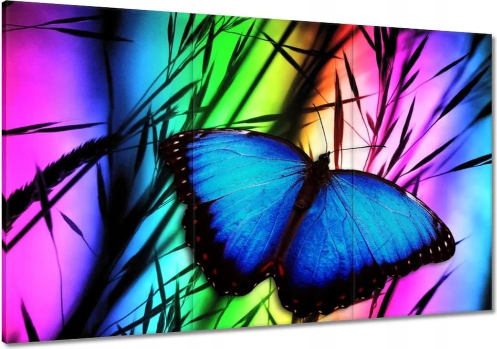 Vászonkép 120x80 Kék pillangó