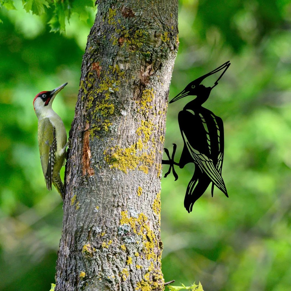 Bird On The Branch 10 - Black