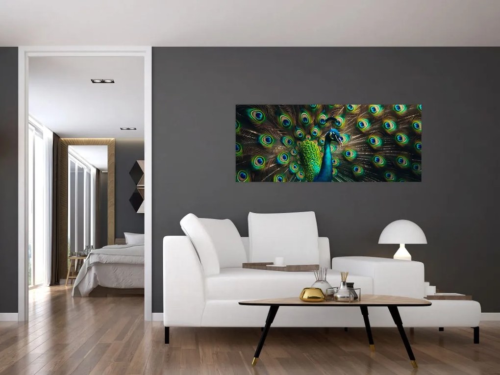 Kép – Pávatoll (120x50 cm)