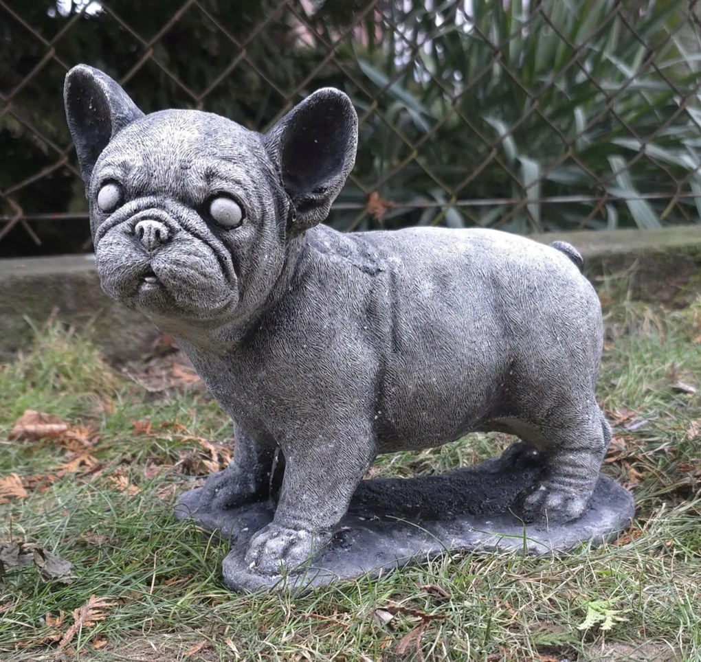 Kutya figura Francia bulldog beton kutyus kerti dekoráció 22x32 cm